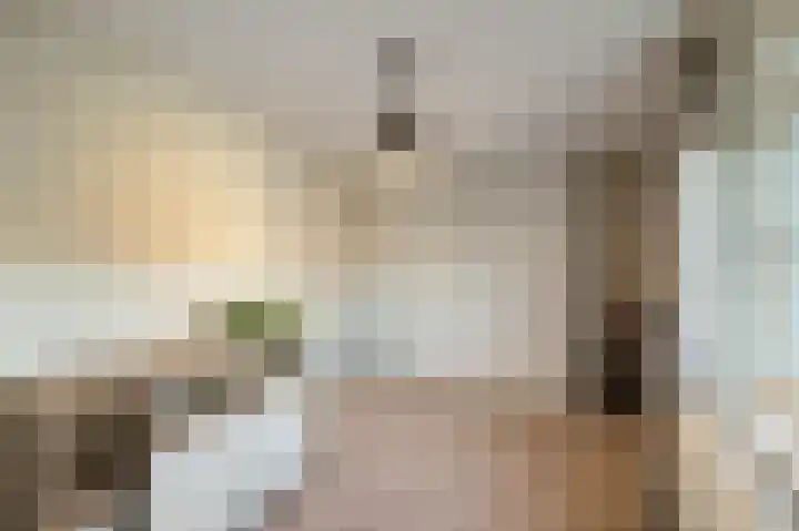 Klaver 2 IJsselmuiden thumbnail 37