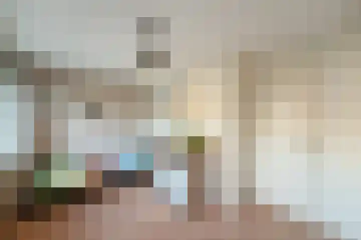 Klaver 2 IJsselmuiden thumbnail 38