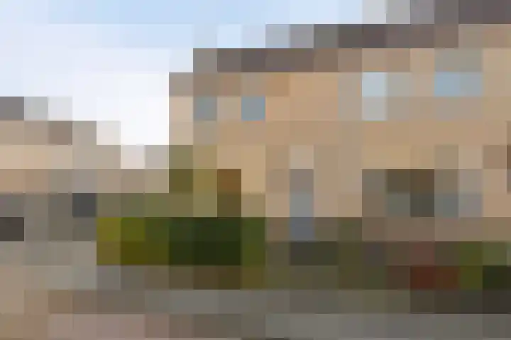 Klaver 2 IJsselmuiden thumbnail 47