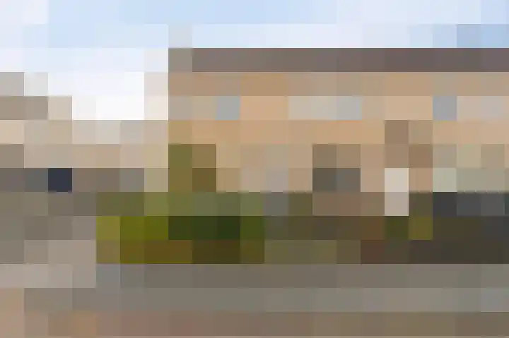 Klaver 2 IJsselmuiden thumbnail 48