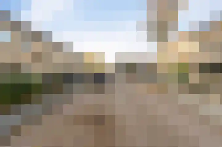 Klaver 2 IJsselmuiden thumbnail 49