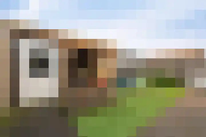 Klaver 2 IJsselmuiden thumbnail 5