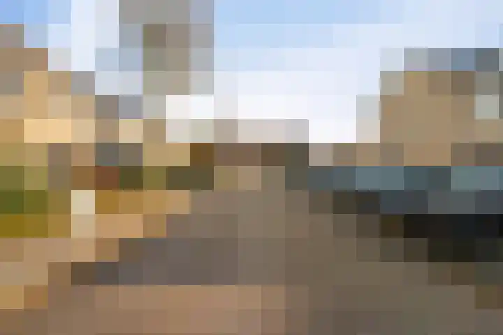 Klaver 2 IJsselmuiden thumbnail 50