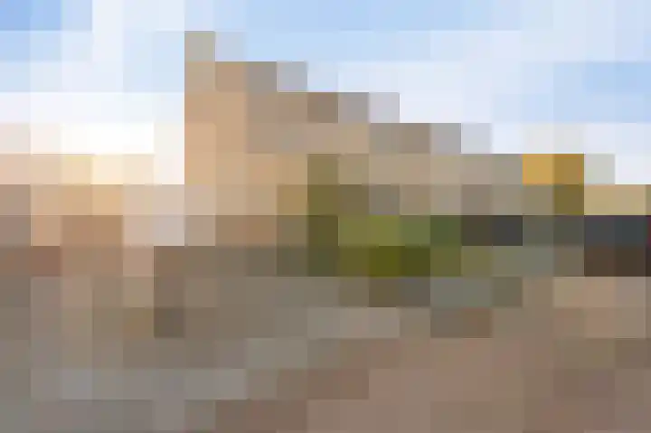Klaver 2 IJsselmuiden thumbnail 6