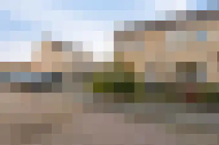 Klaver 2 IJsselmuiden thumbnail 7