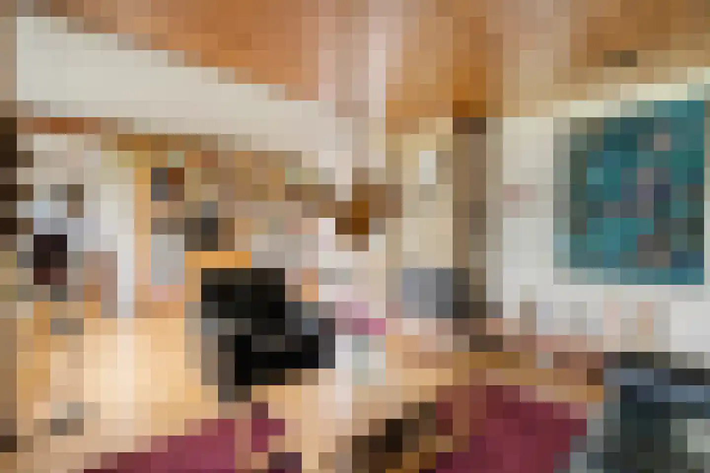 Klaver 20 IJsselmuiden thumbnail 12