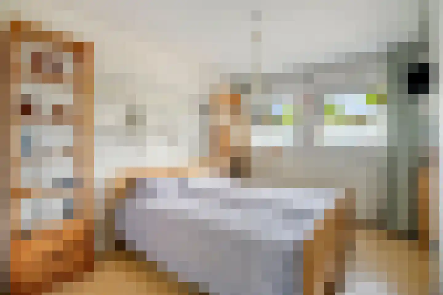 Klaver 20 IJsselmuiden thumbnail 23
