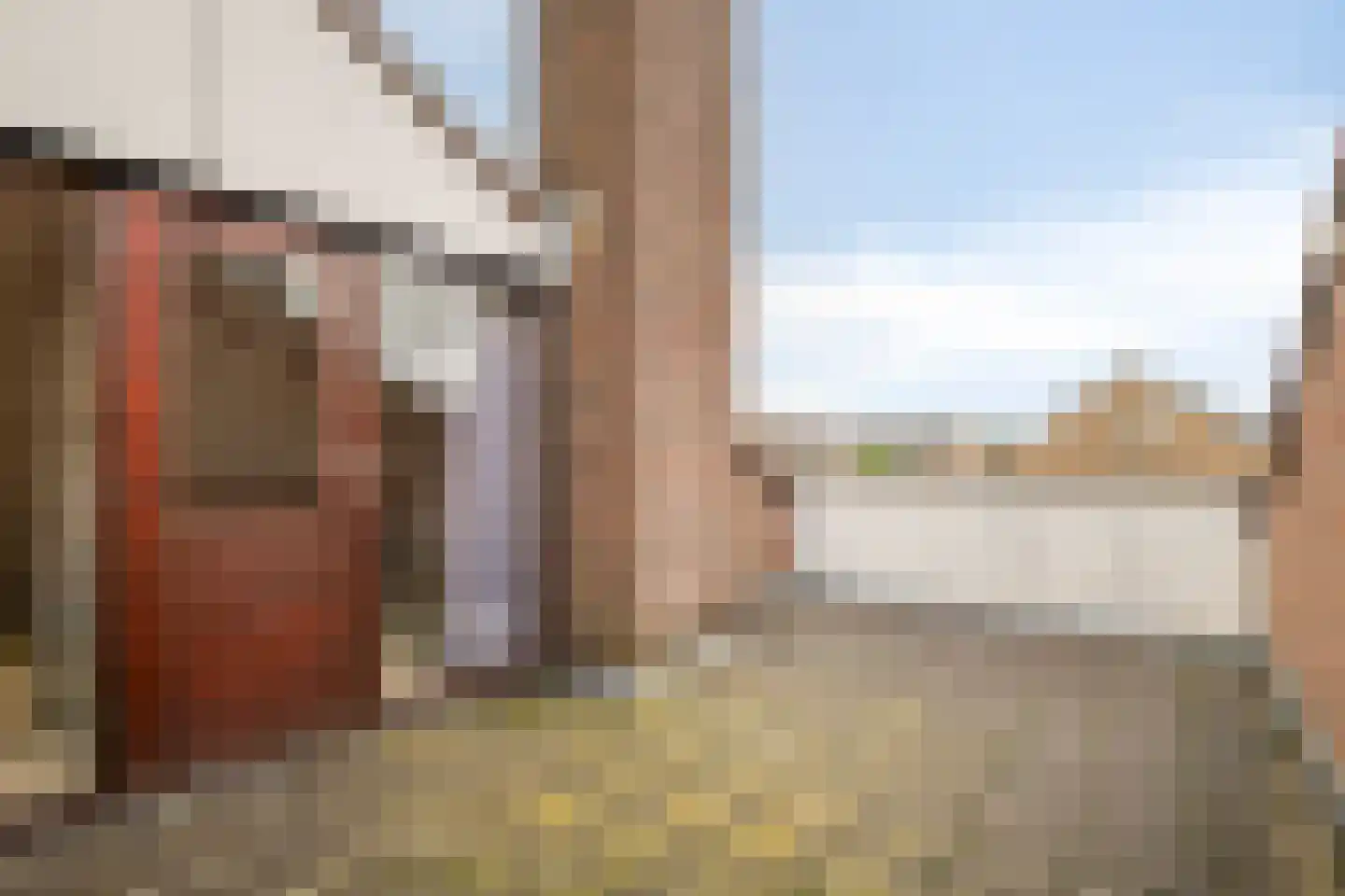 Klaver 20 IJsselmuiden thumbnail 35