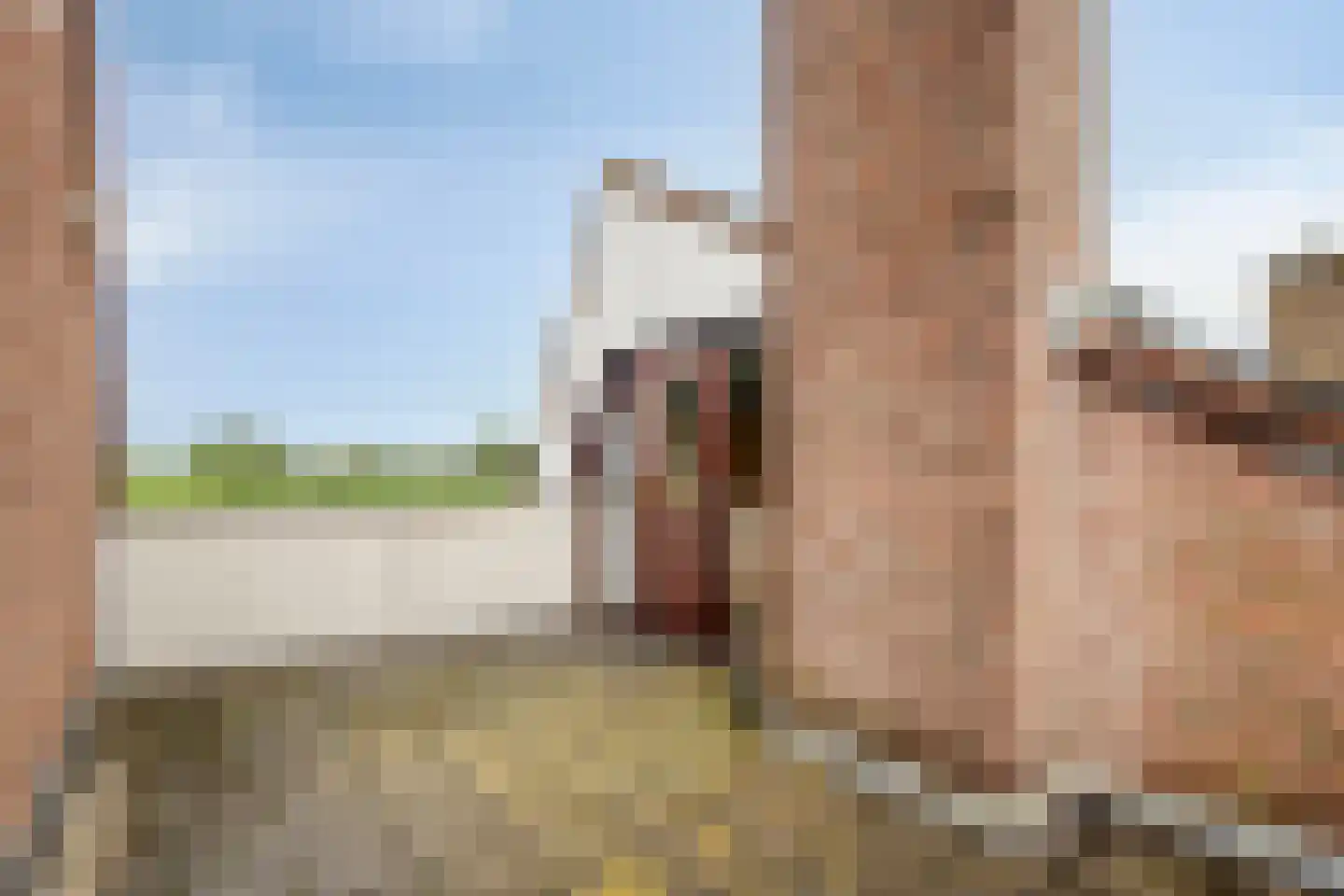 Klaver 20 IJsselmuiden thumbnail 36