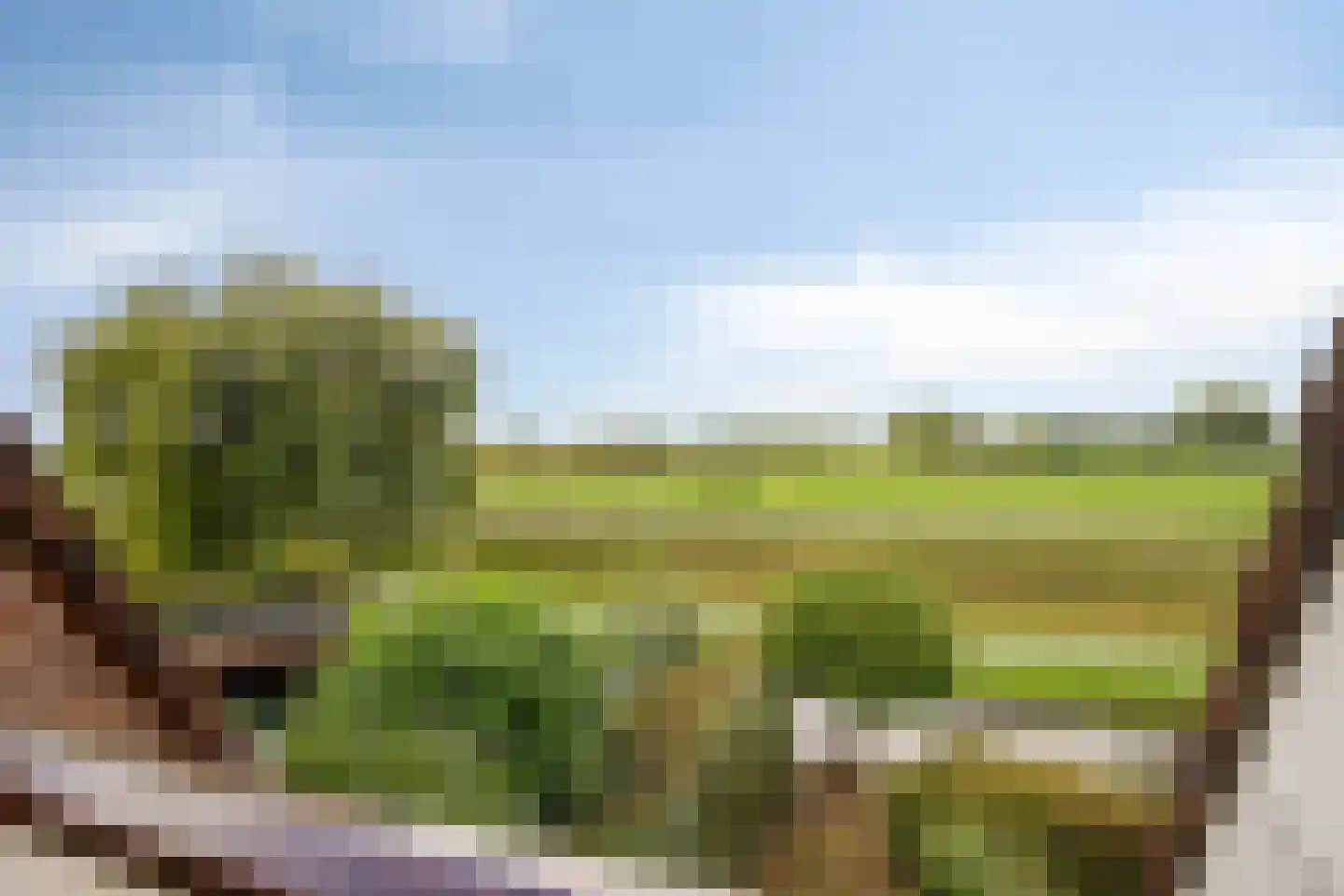 Klaver 20 IJsselmuiden thumbnail 37