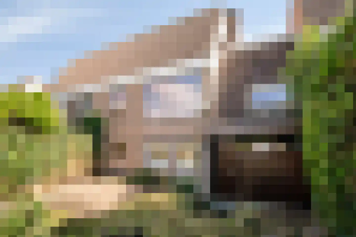 Klaver 20 IJsselmuiden thumbnail 39