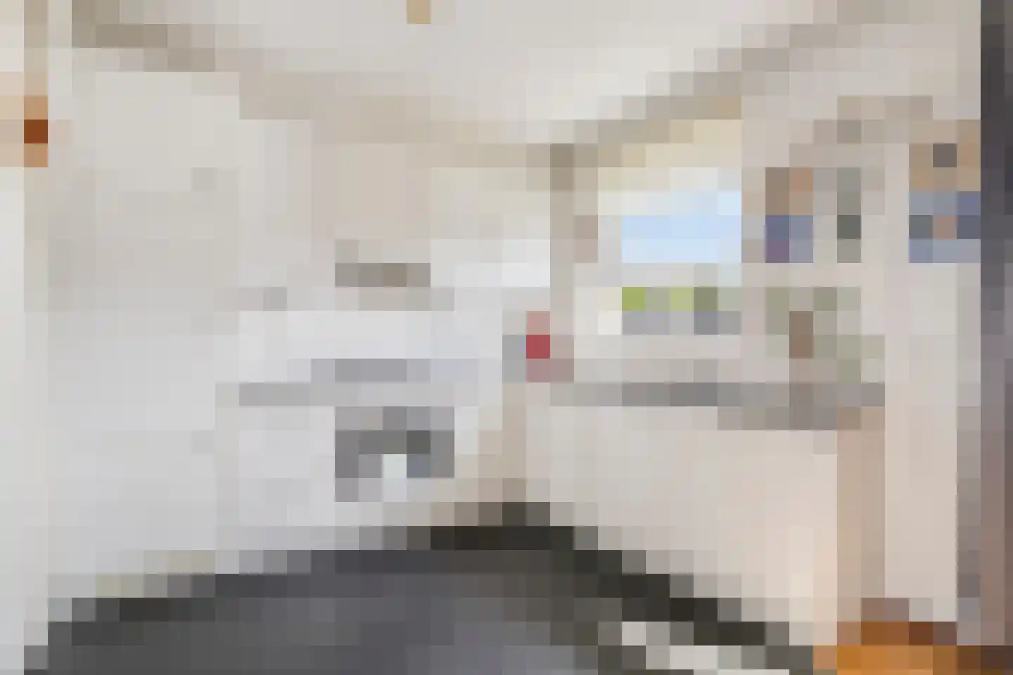 Klaver 20 IJsselmuiden thumbnail 4