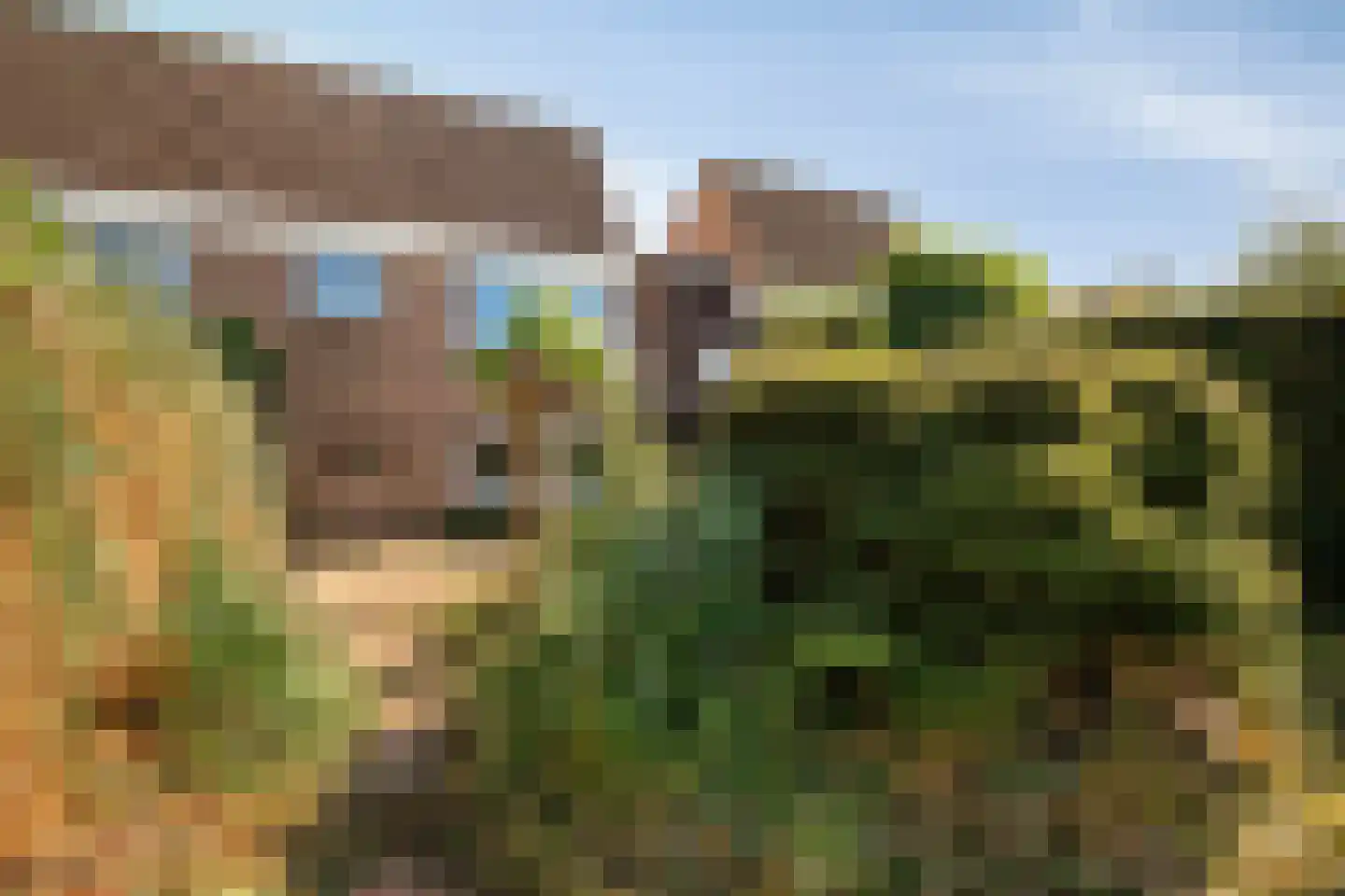 Klaver 20 IJsselmuiden thumbnail 41