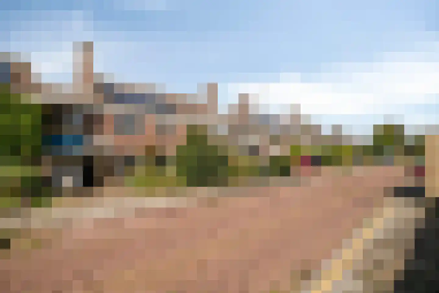 Klaver 20 IJsselmuiden thumbnail 44