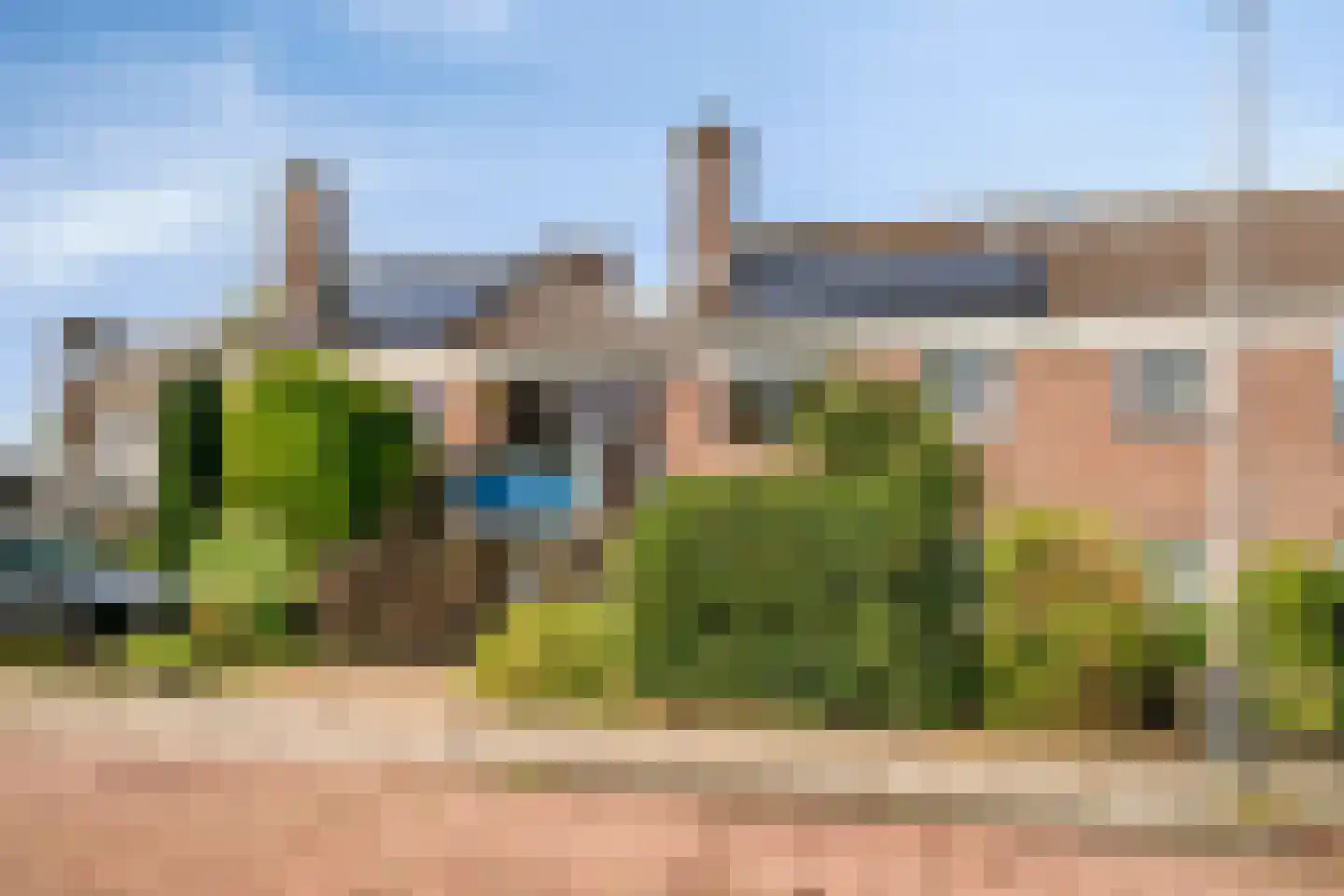 Klaver 20 IJsselmuiden thumbnail 45