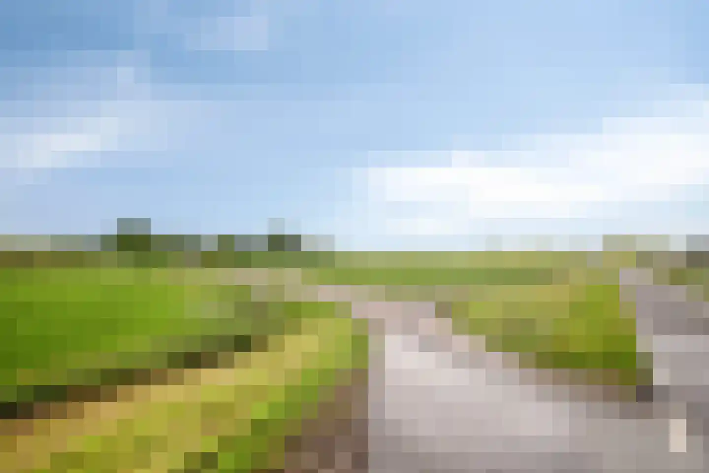 Klaver 20 IJsselmuiden thumbnail 46