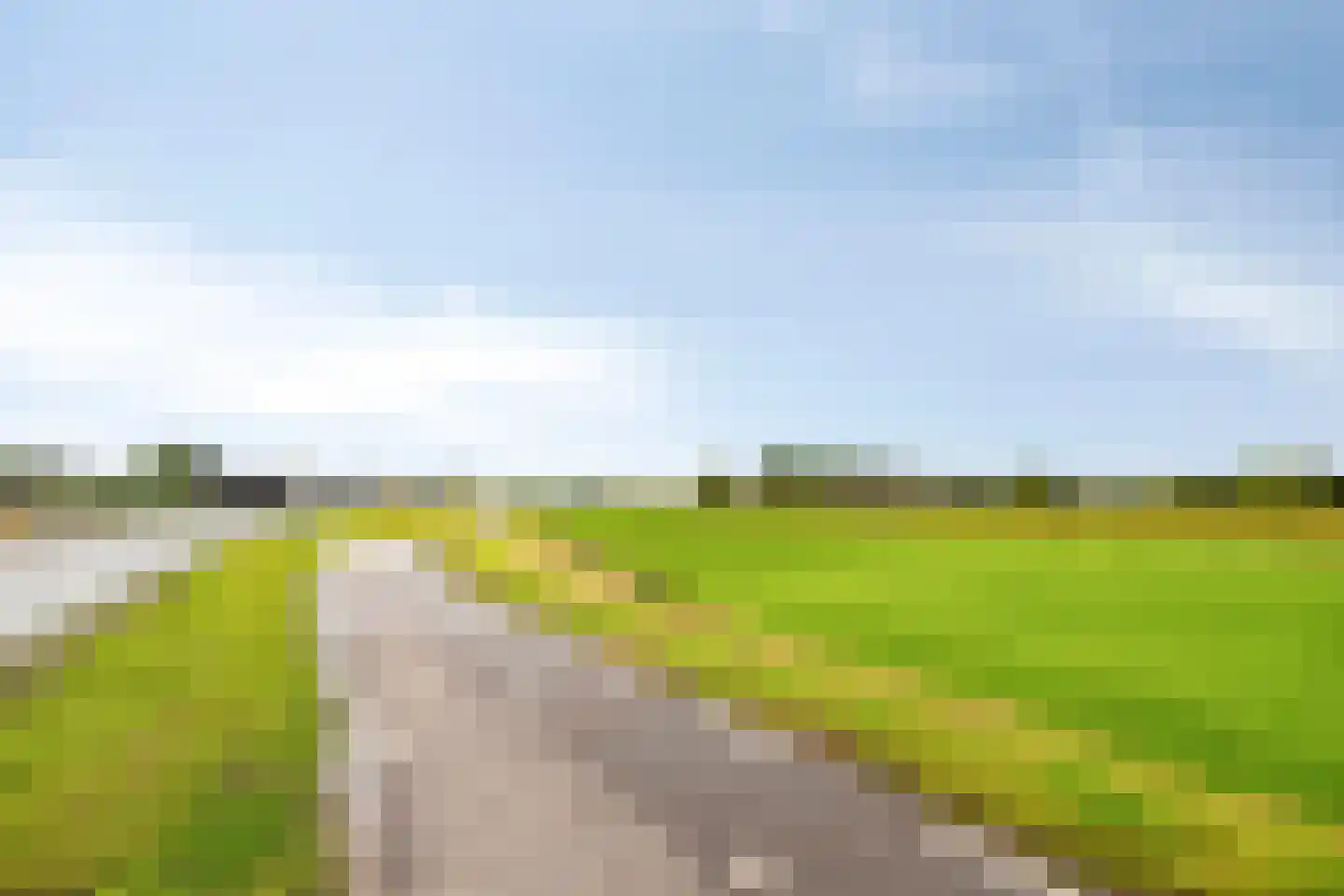 Klaver 20 IJsselmuiden thumbnail 47