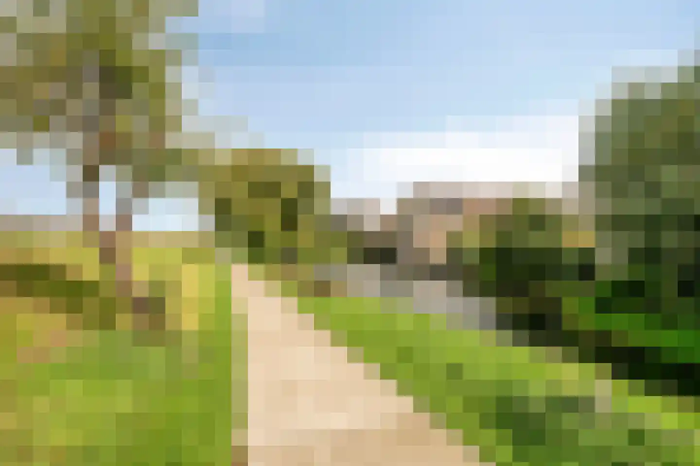 Klaver 20 IJsselmuiden thumbnail 48