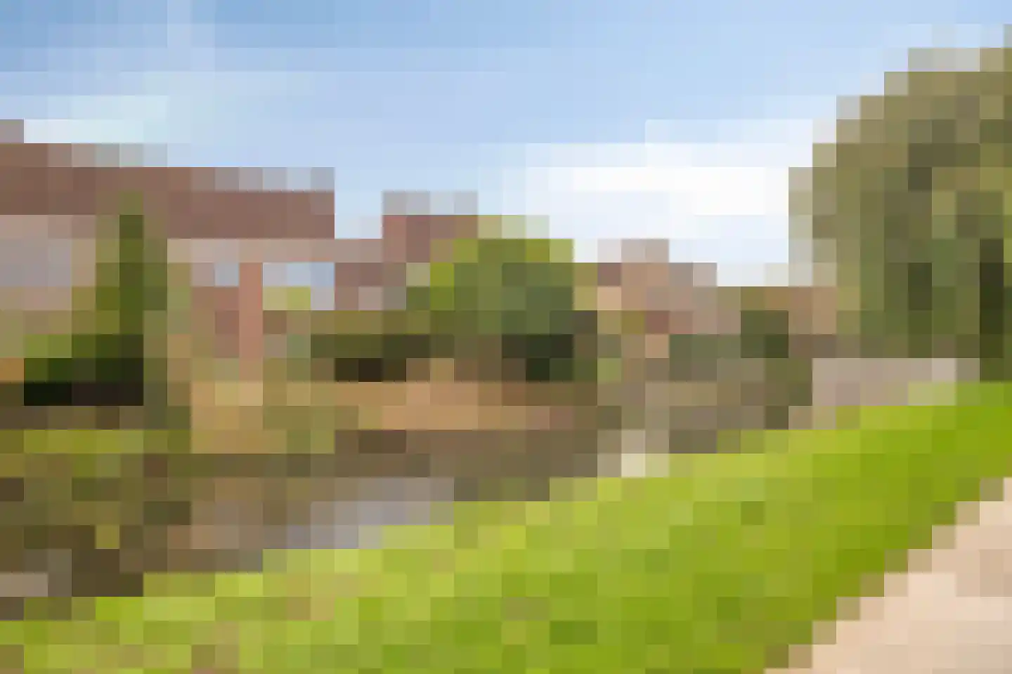 Klaver 20 IJsselmuiden thumbnail 5