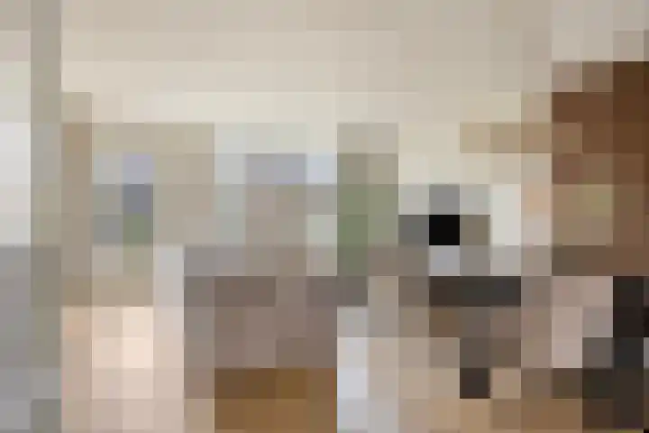 Klaver 28 Cuijk thumbnail 10