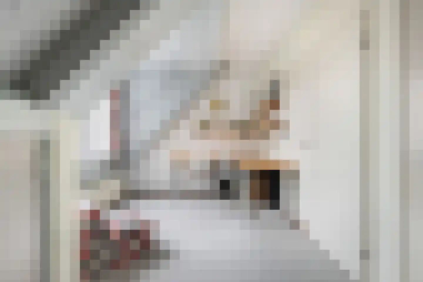 Klaver 4 Haastrecht thumbnail 13