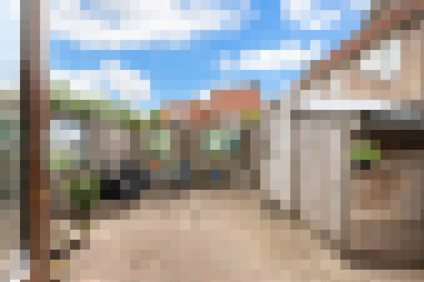 Klaver 4 Haastrecht thumbnail 17