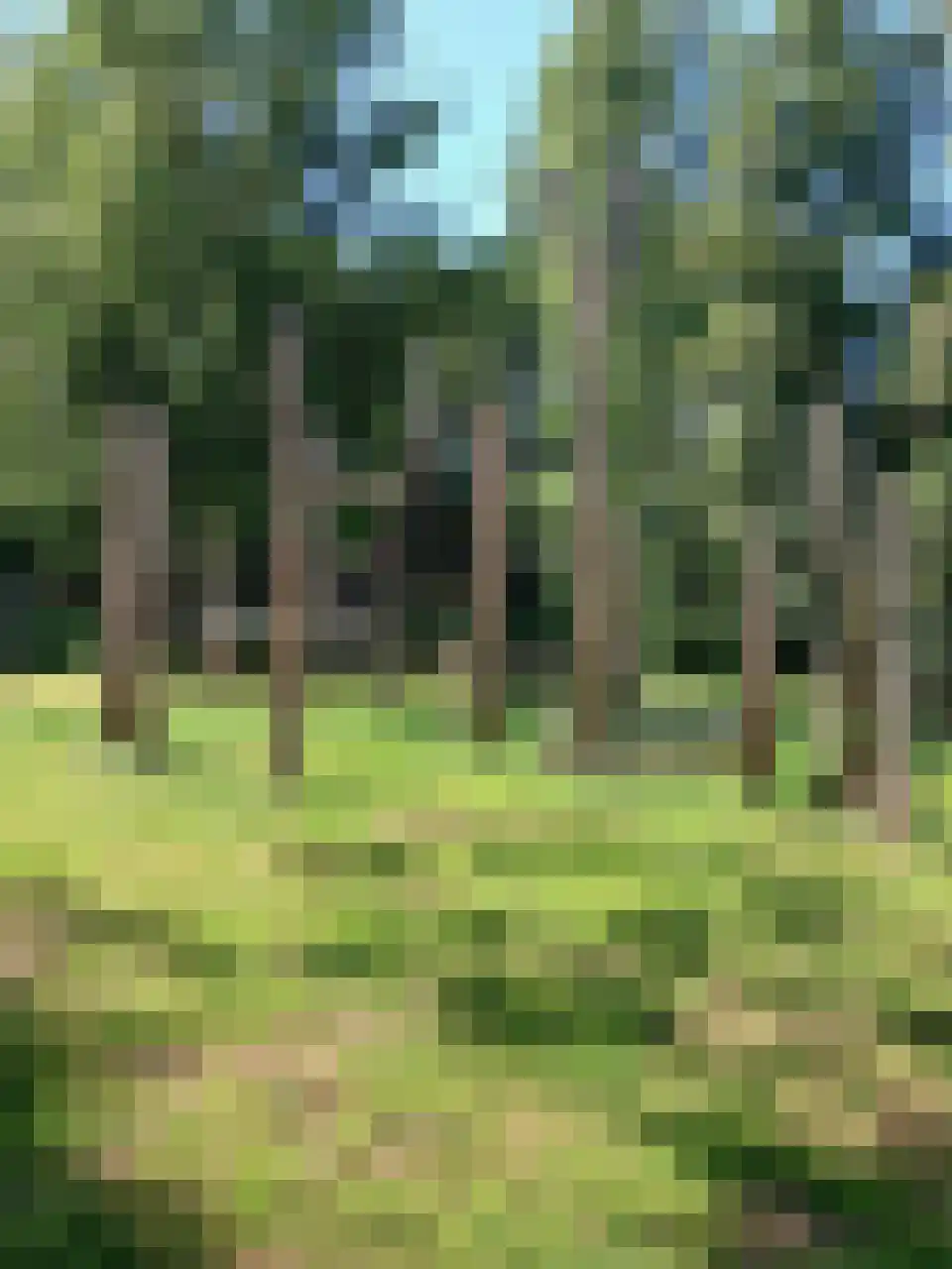 Klaver 4 Haastrecht thumbnail 20