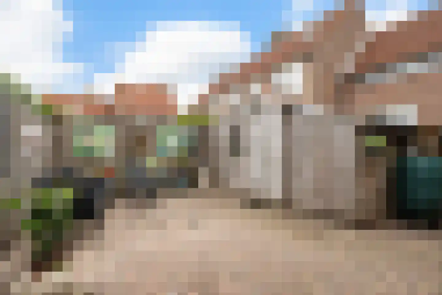 Klaver 4 Haastrecht foto 3