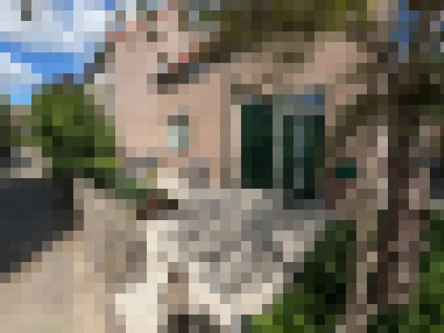Klaver 4 Haastrecht thumbnail 4