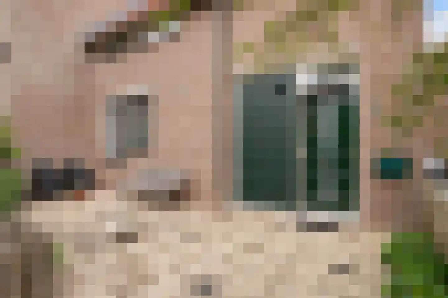 Klaver 4 Haastrecht thumbnail 4