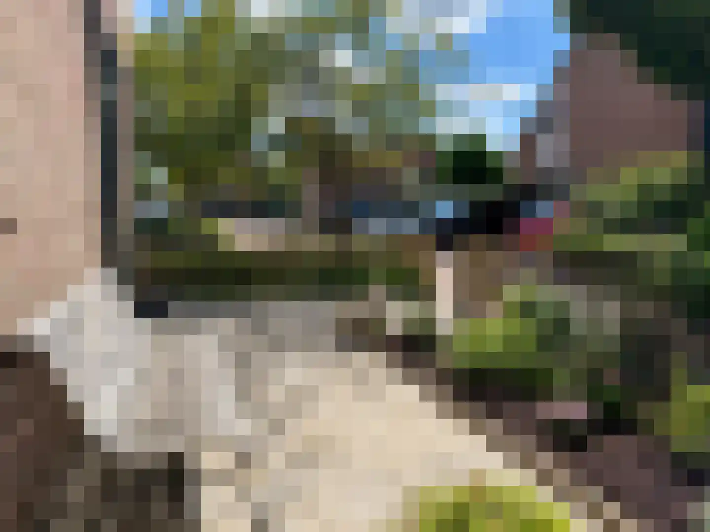 Klaver 4 Haastrecht thumbnail 5