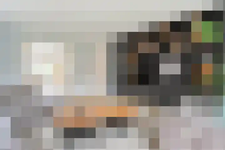 Klaver 5 Harbrinkhoek thumbnail 10