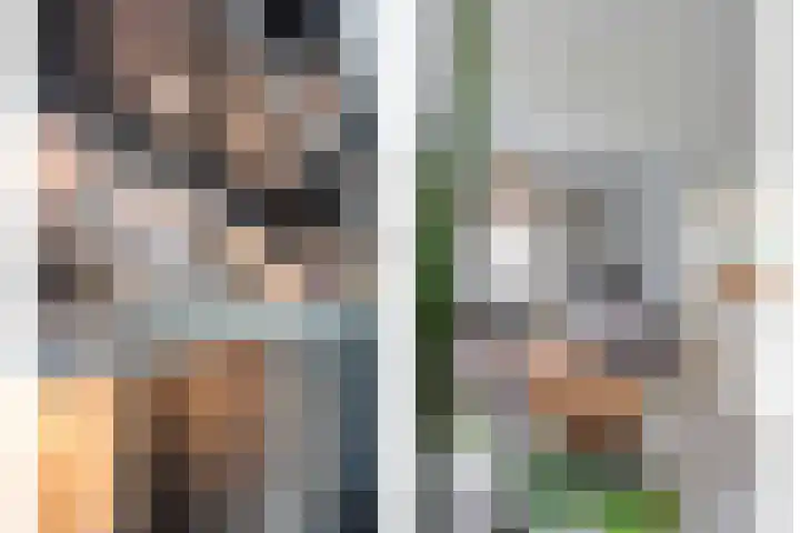 Klaver 5 Harbrinkhoek thumbnail 11