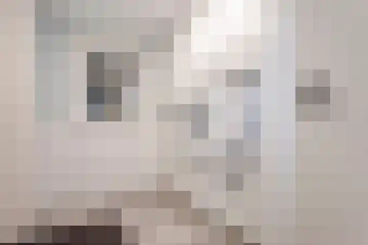 Klaver 5 Harbrinkhoek thumbnail 16