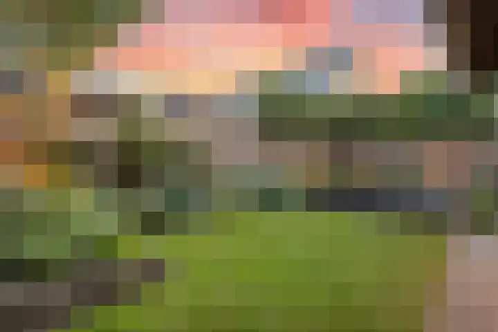 Klaver 5 Harbrinkhoek thumbnail 28