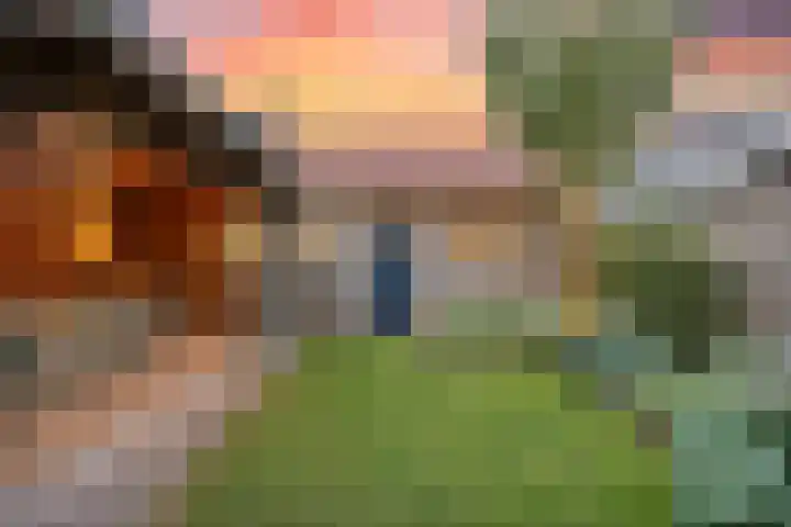 Klaver 5 Harbrinkhoek thumbnail 29