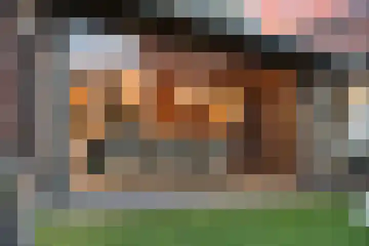 Klaver 5 Harbrinkhoek thumbnail 30