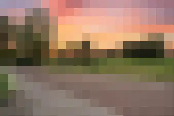Klaver 5 Harbrinkhoek thumbnail 32