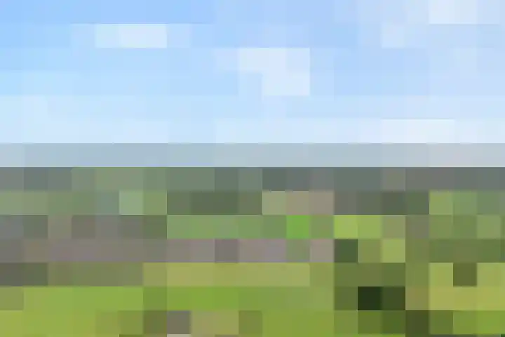Klaver 5 Harbrinkhoek thumbnail 33