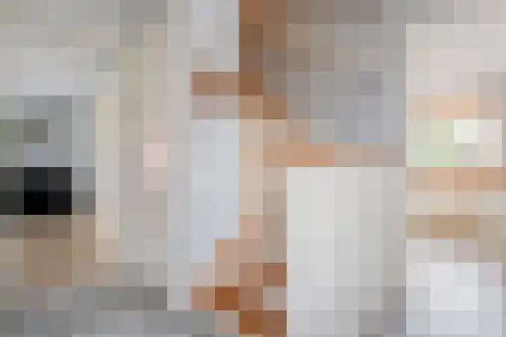 Klaver 5 Harbrinkhoek thumbnail 6