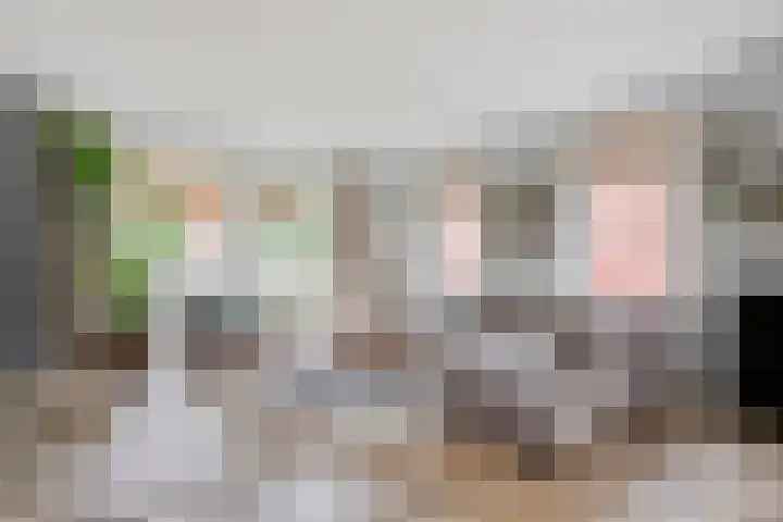 Klaver 5 Harbrinkhoek thumbnail 8