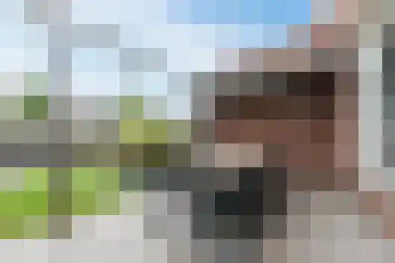 Klaver 9 Best thumbnail 42