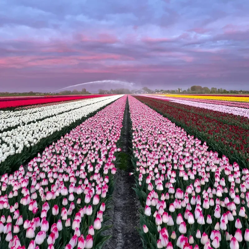 Kantoor foto van Klaver Agrarisch Vastgoed B.V.
