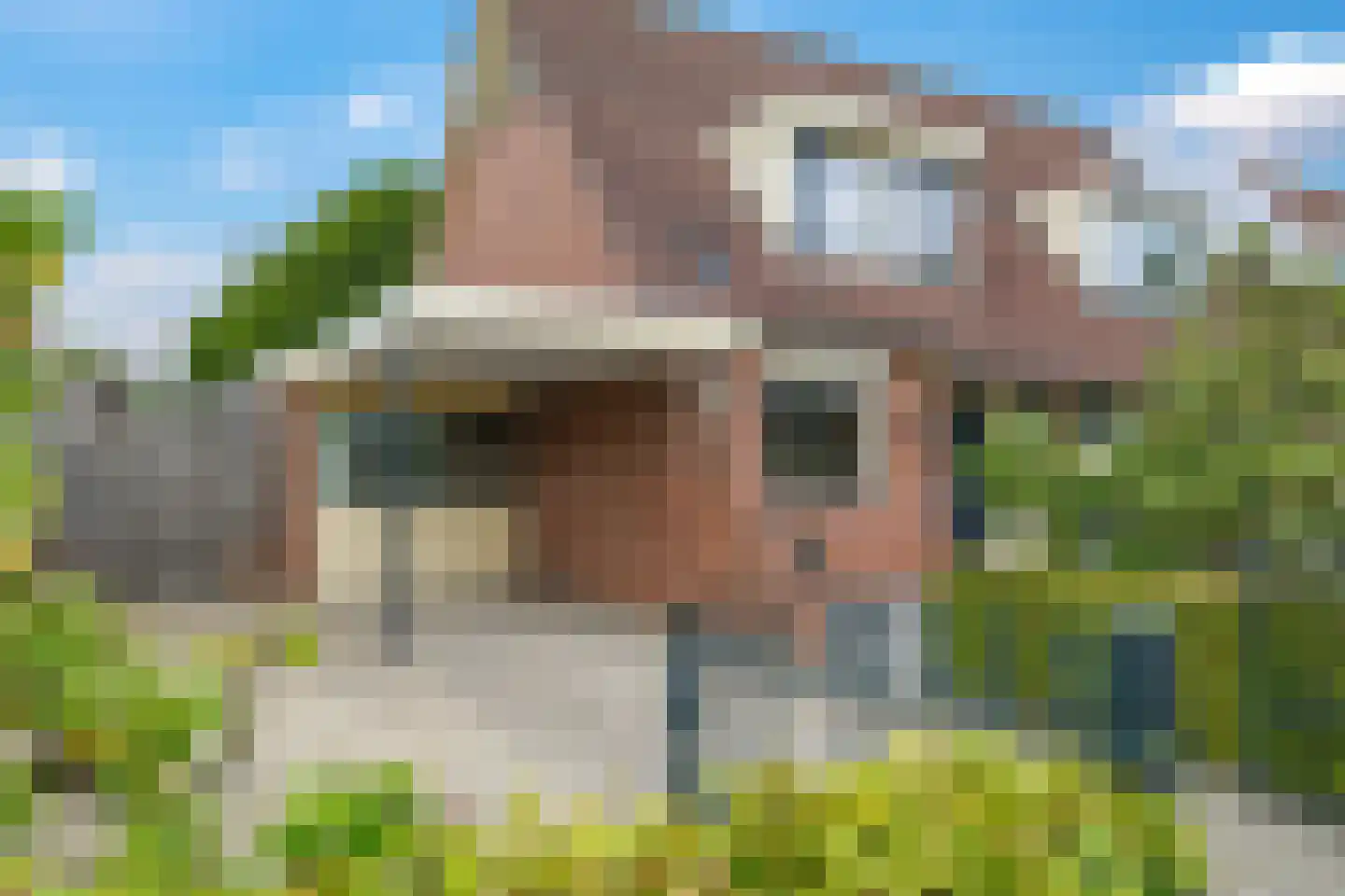 Klaverakker 12 Heteren