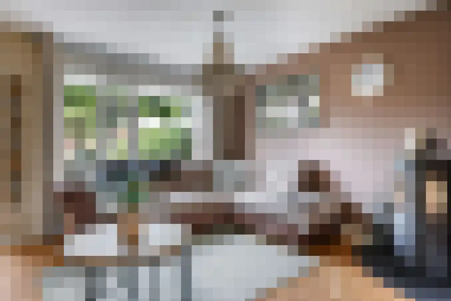 Klaverakker 12 Heteren thumbnail 14