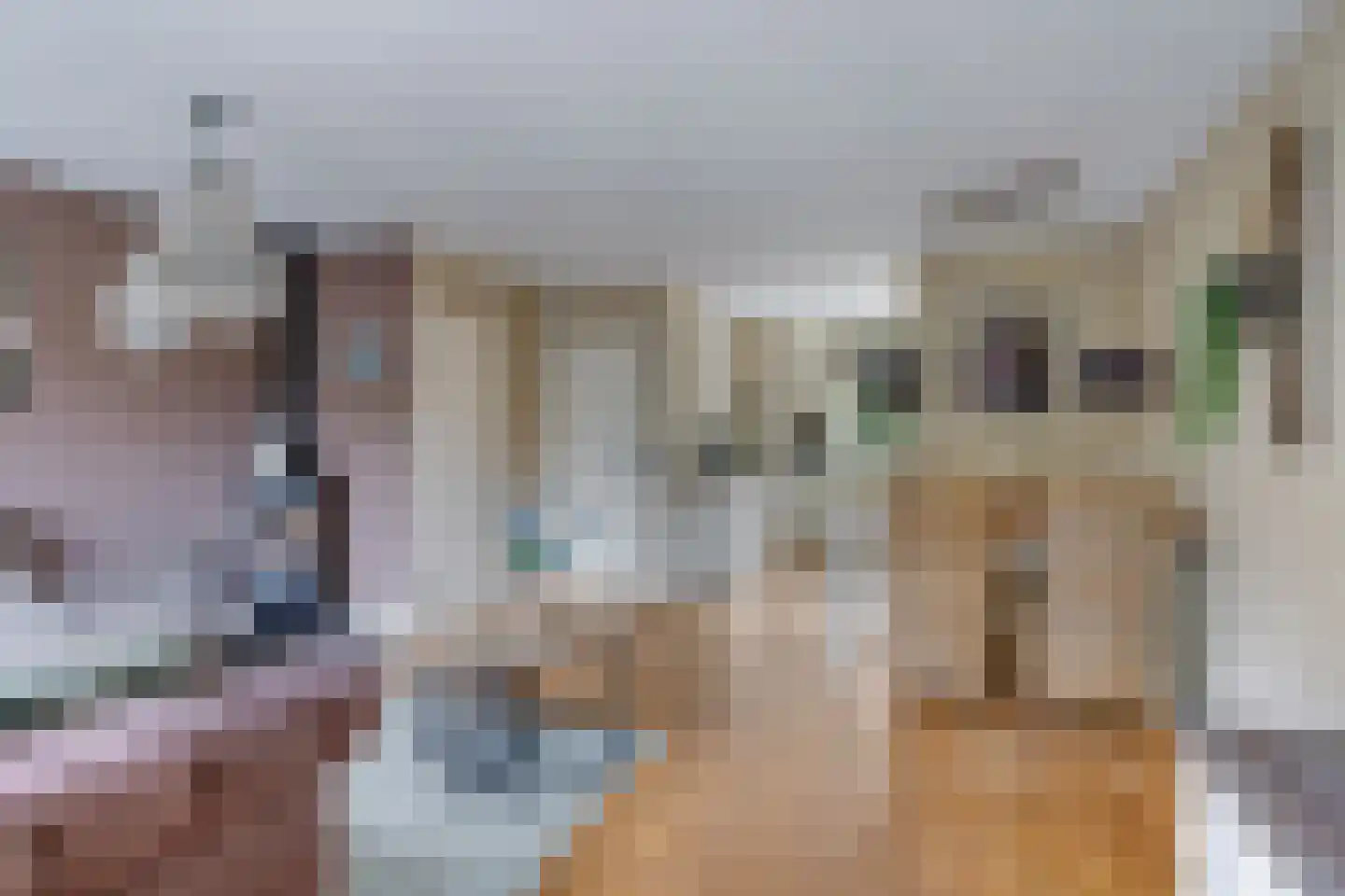 Klaverakker 12 Heteren thumbnail 17