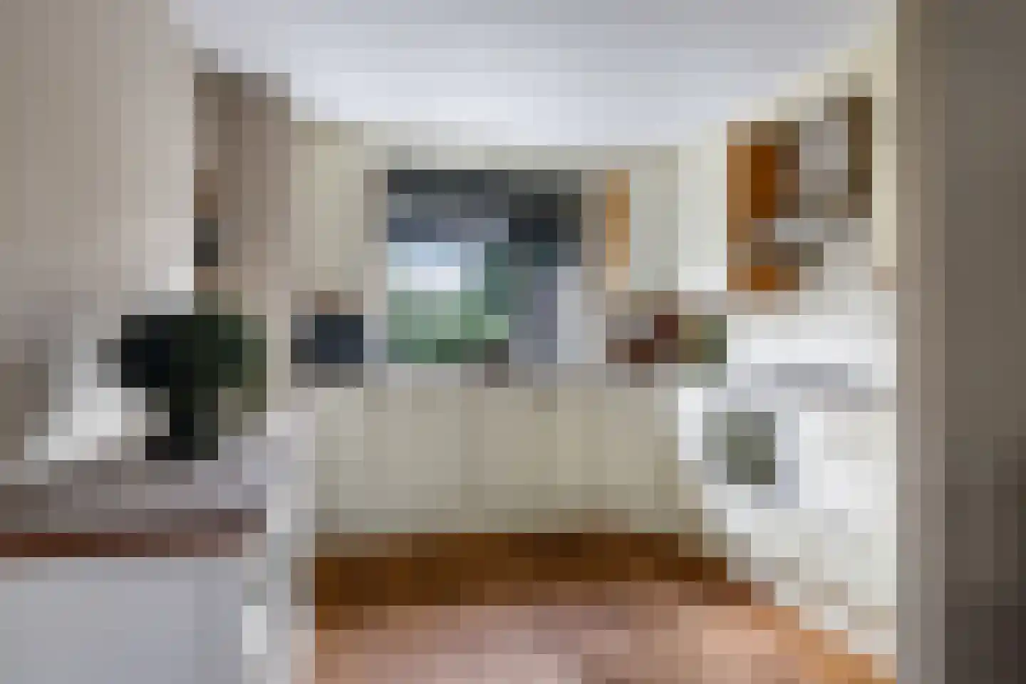 Klaverakker 12 Heteren thumbnail 20