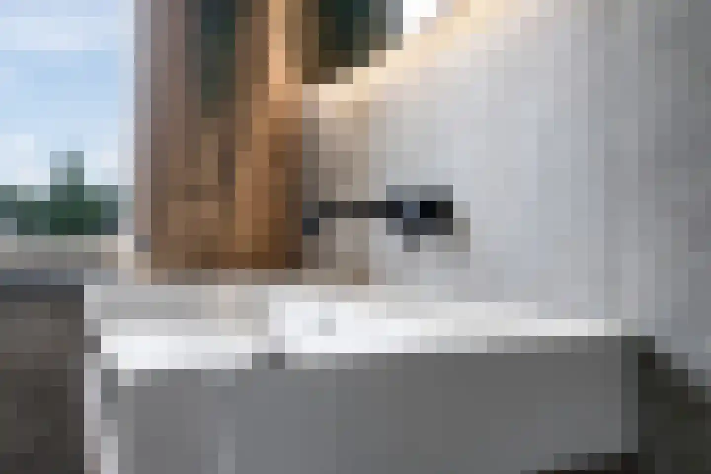 Klaverakker 12 Heteren thumbnail 40