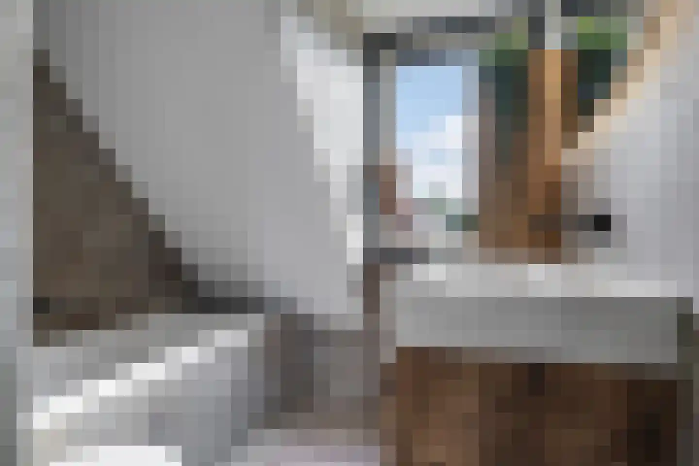 Klaverakker 12 Heteren thumbnail 5