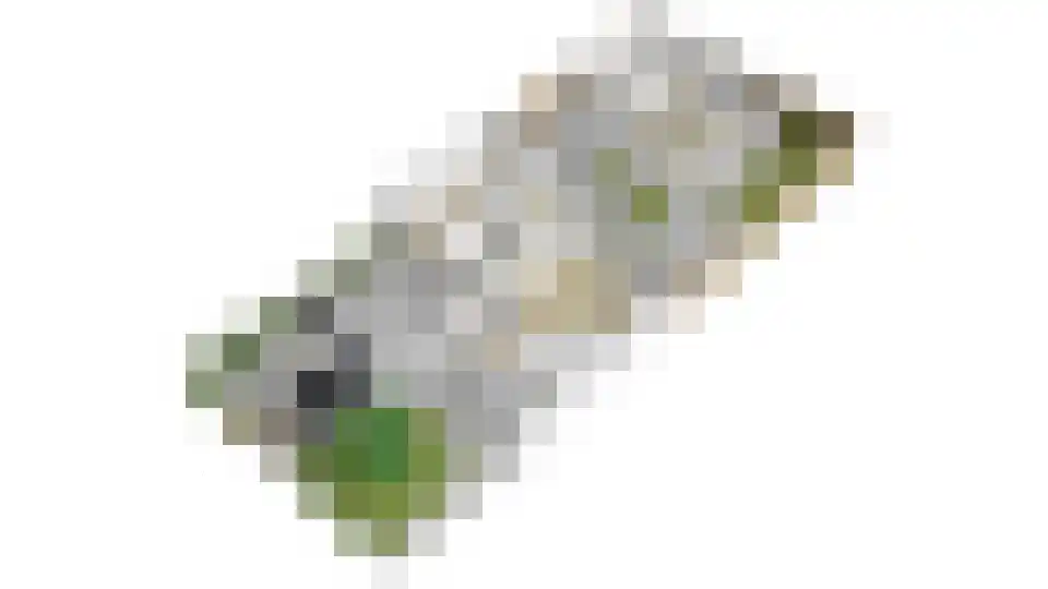 Klaverakker 12 Heteren thumbnail 53
